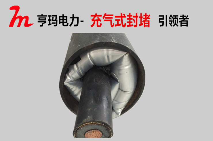 充气式管道密封装置