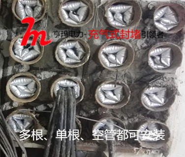 感谢扬州客户对我们充气式管道密封装置的认可和好评