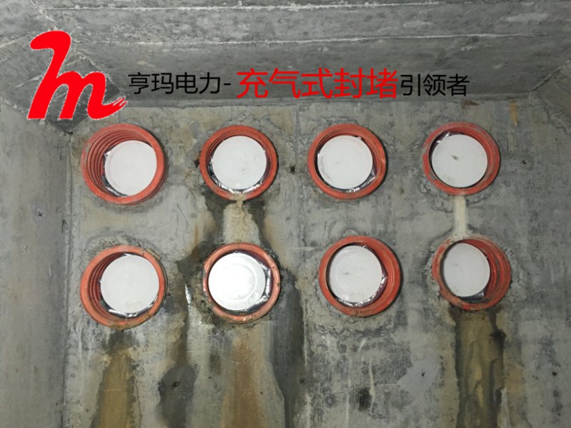 封堵器经济和社会效益初步分析