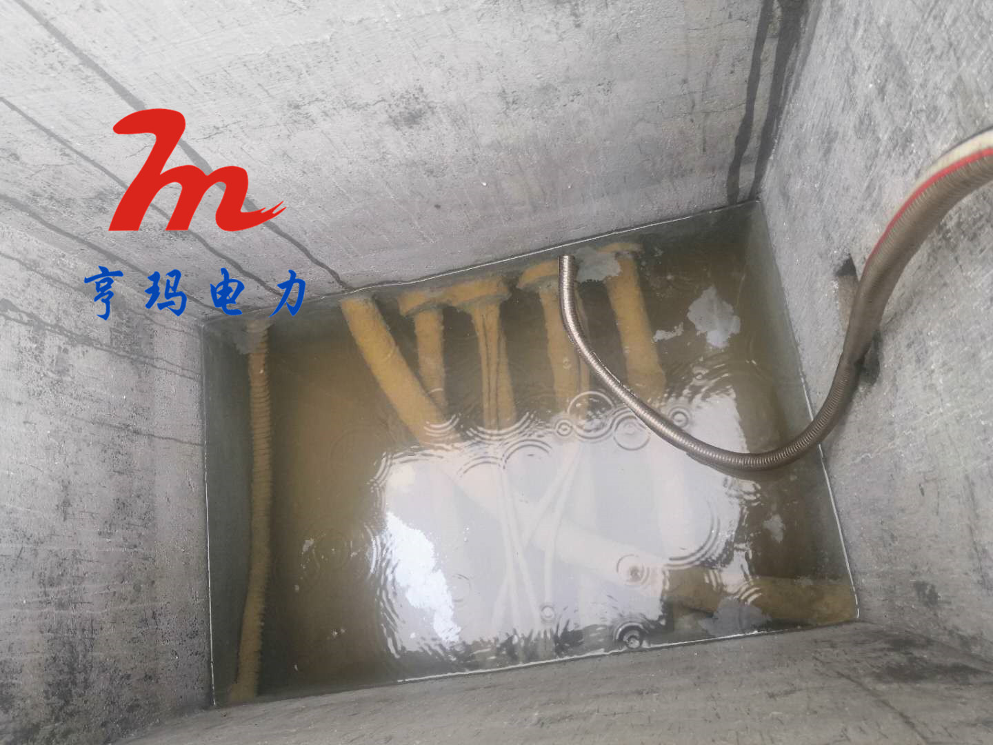 微信图片_20200805143521_副本