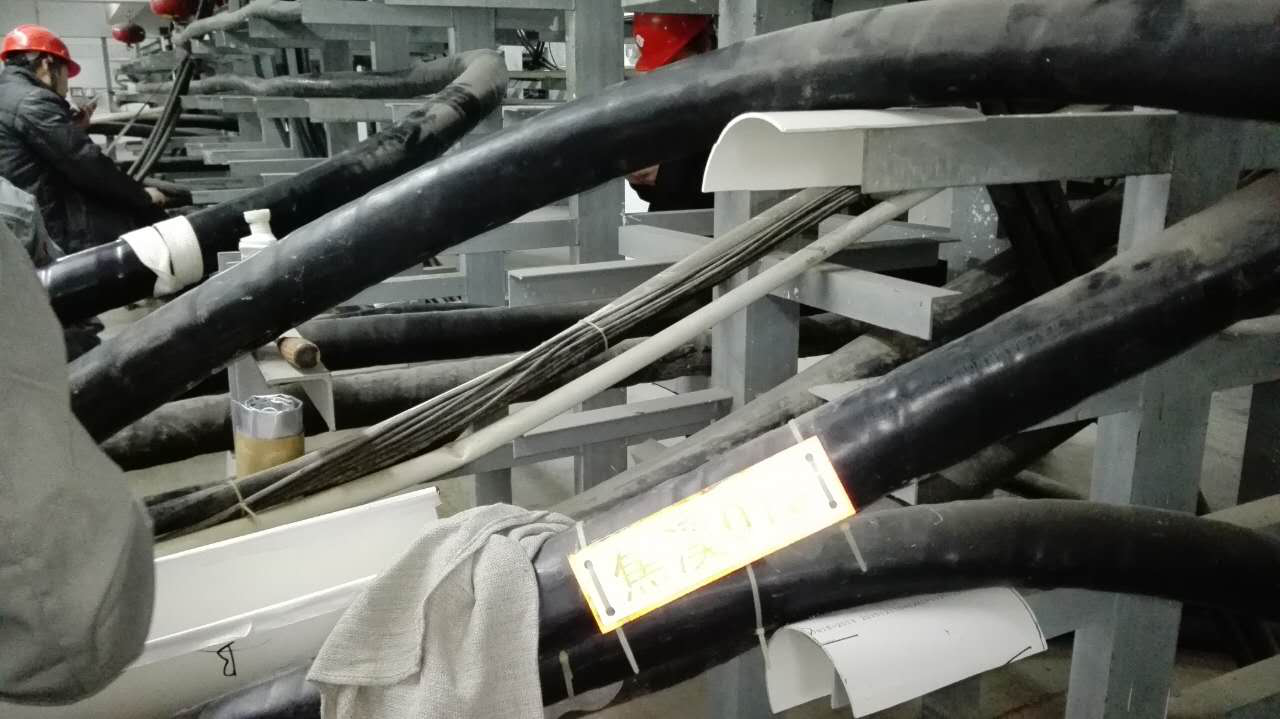 图片5