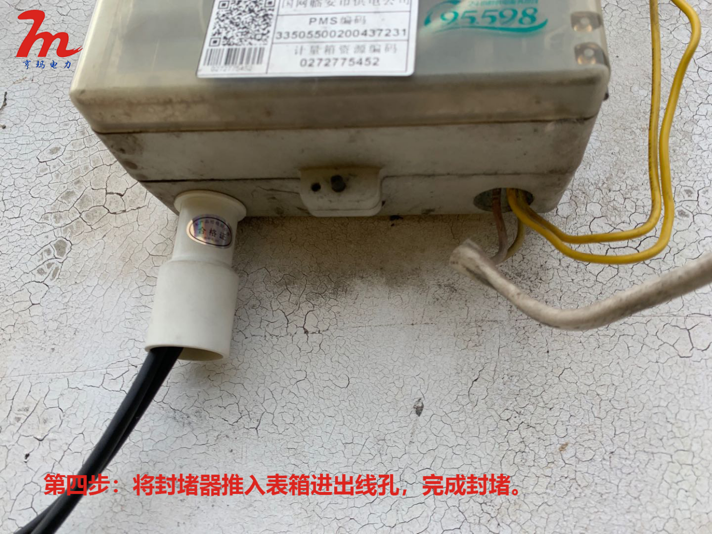 图片4