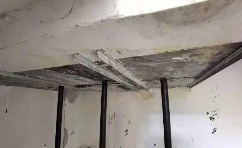 image11.jpeg